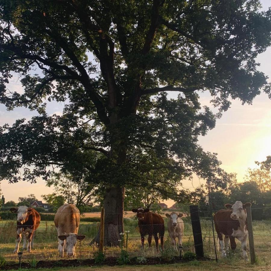 Thurlton Church Farm B&B 외부 사진